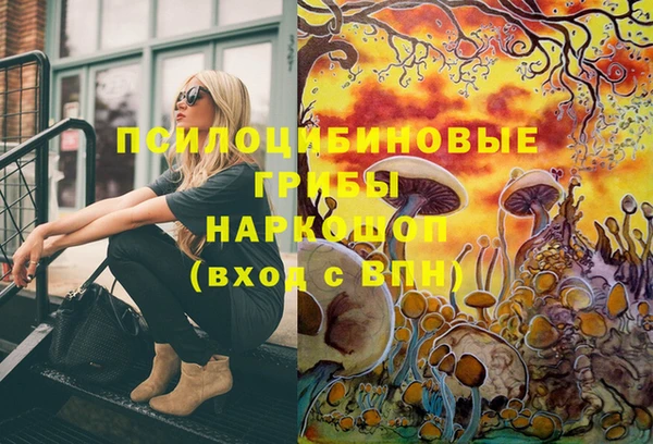 2c-b Костерёво