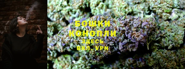 2c-b Костерёво