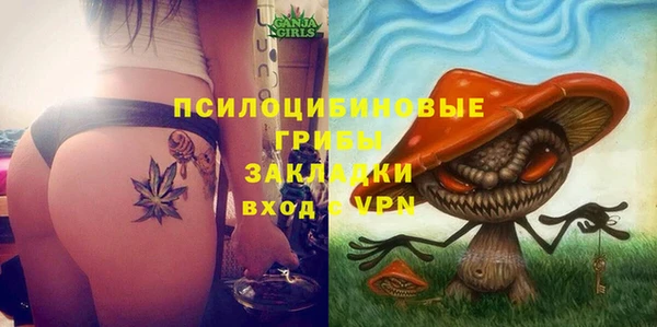 ешки Коряжма