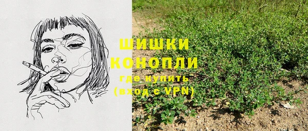 дмт Краснослободск